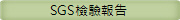SGSi